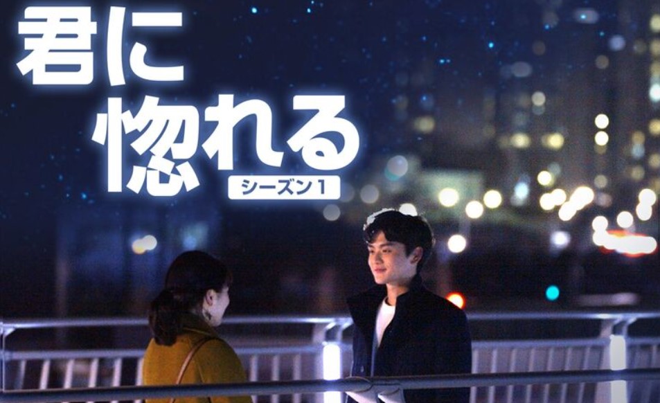 君に惚れる　シーズン１